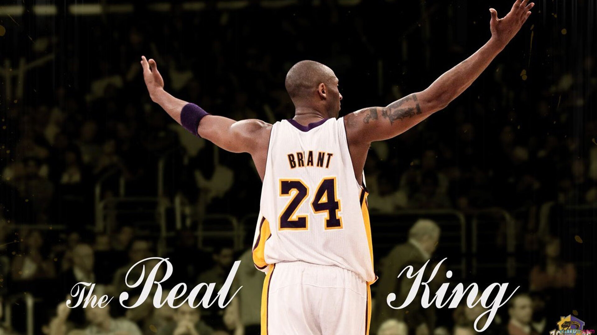 2026世界杯之夜,文班亚马的统治级数据如何改写篮球历史